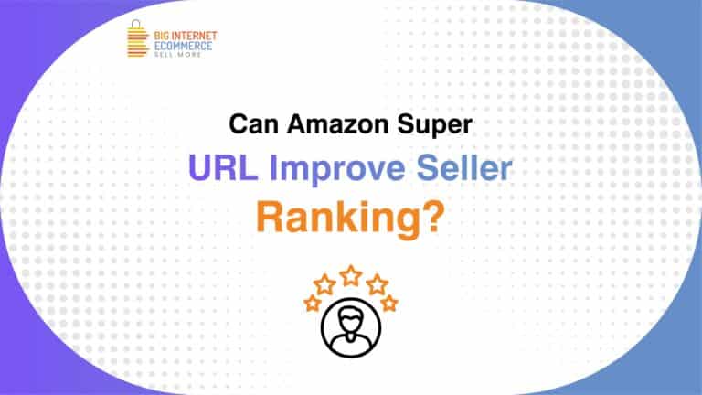 Big_Internet_Ecommerce_One_On_One_Coaching
