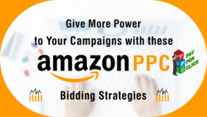 Big_Internet_Ecommerce_Amazon_Advertising_PPC